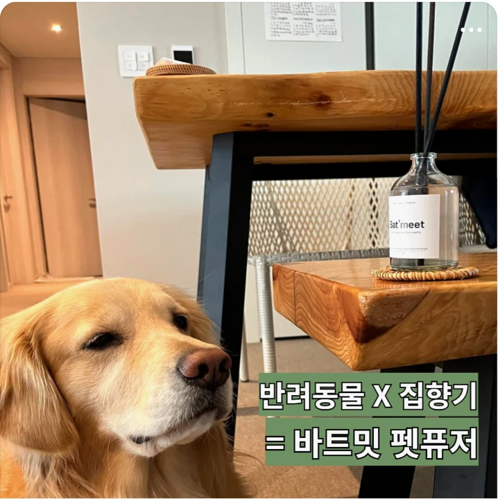 생활/가정용품 배너