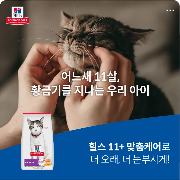 식품/제과 배너