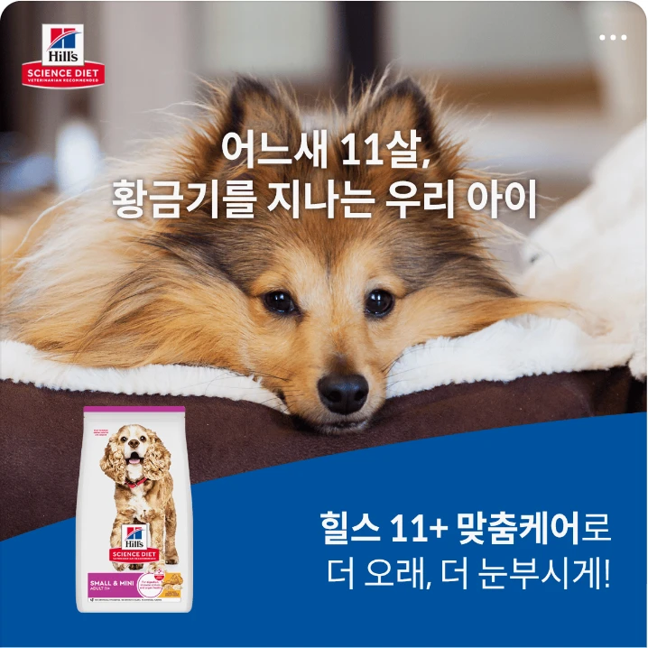 식품/제과 배너