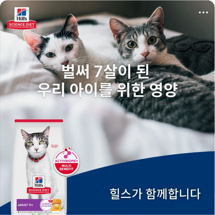 식품/제과 배너