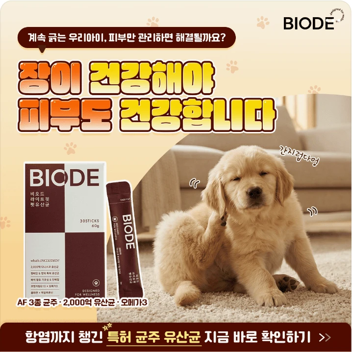 제약/의료/복지 배너