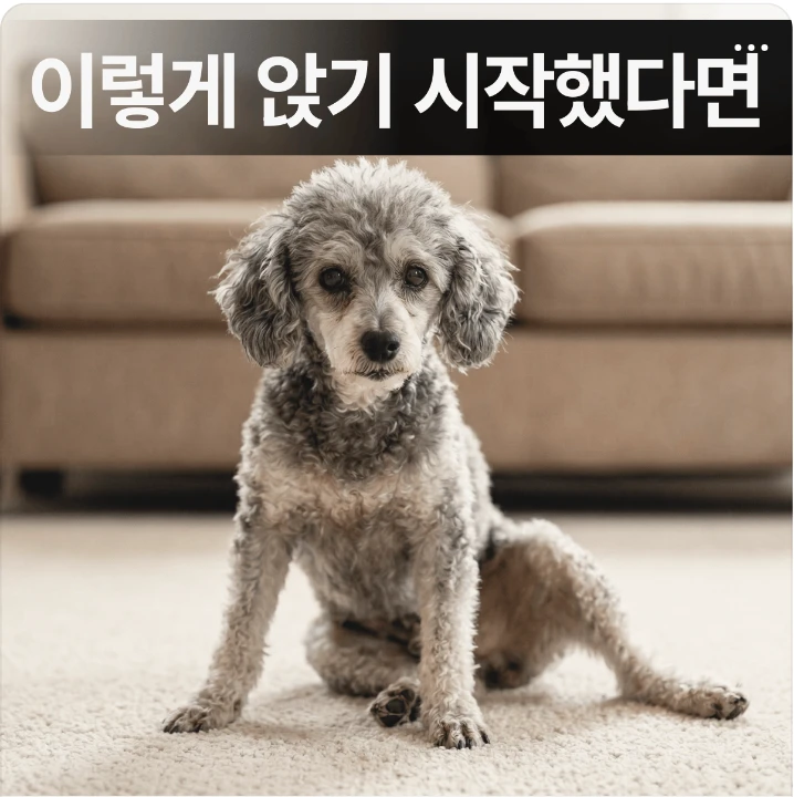 제약/의료/복지 배너