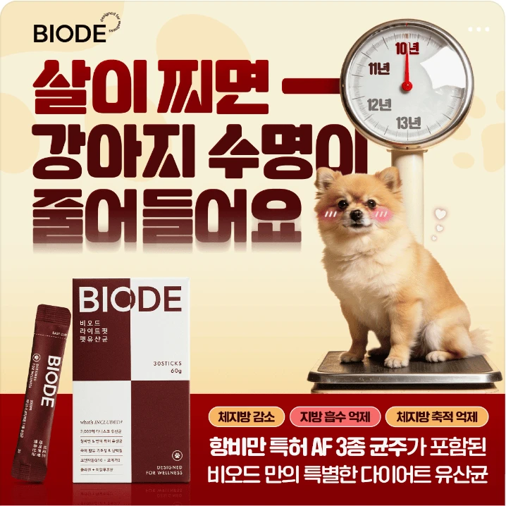 제약/의료/복지 배너