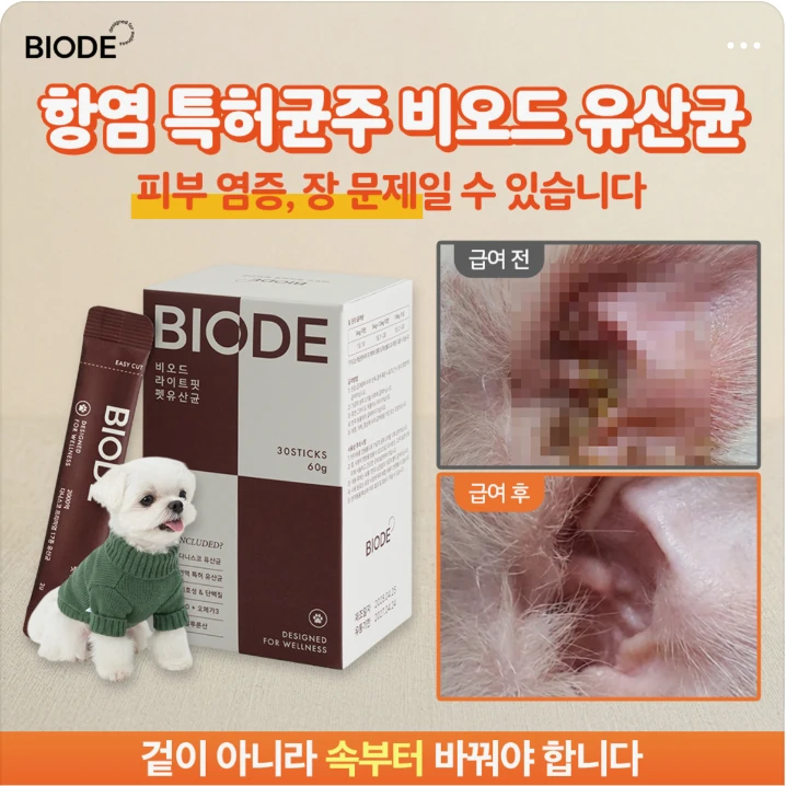 제약/의료/복지 배너