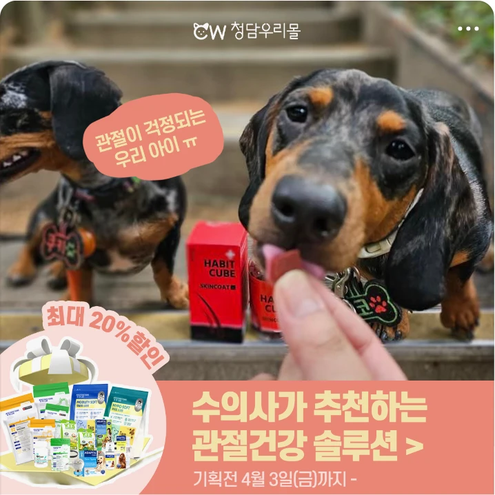 제약/의료/복지 배너