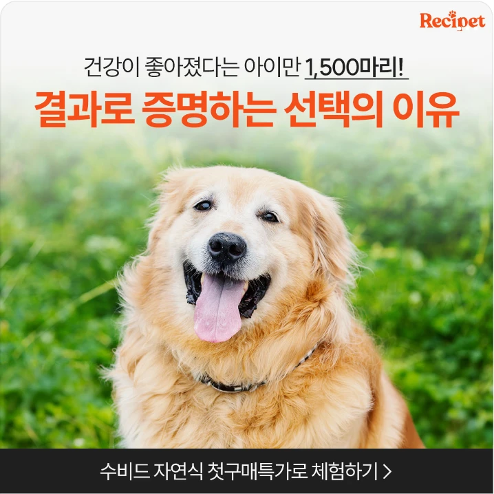 식품/제과 배너