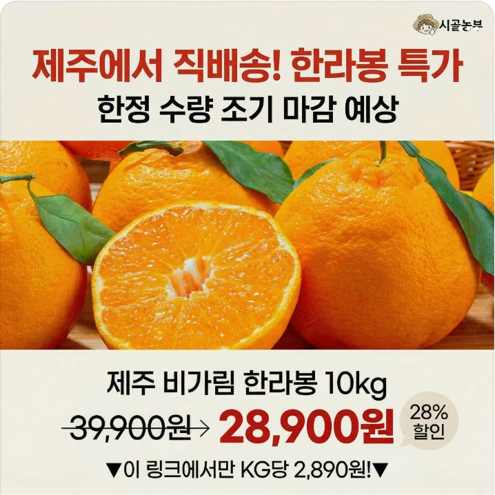식품/제과 배너