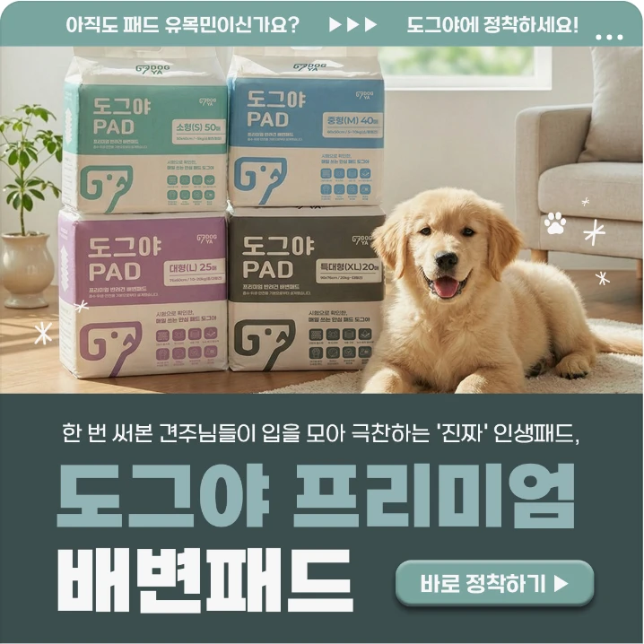 생활/가정용품 배너