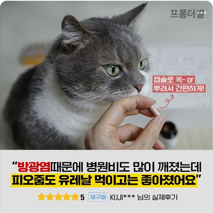 제약/의료/복지 배너