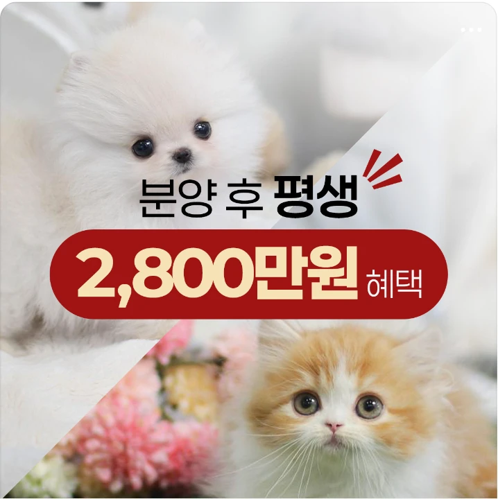 생활/가정용품 배너