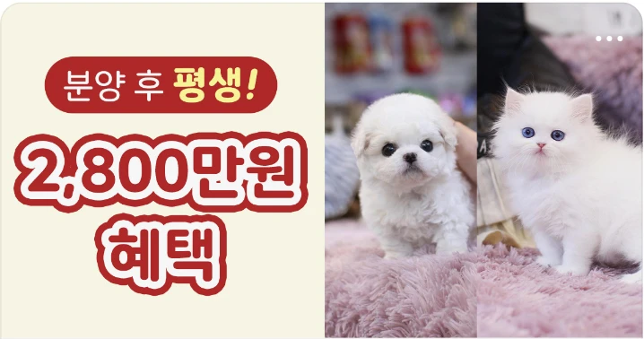 생활/가정용품 배너