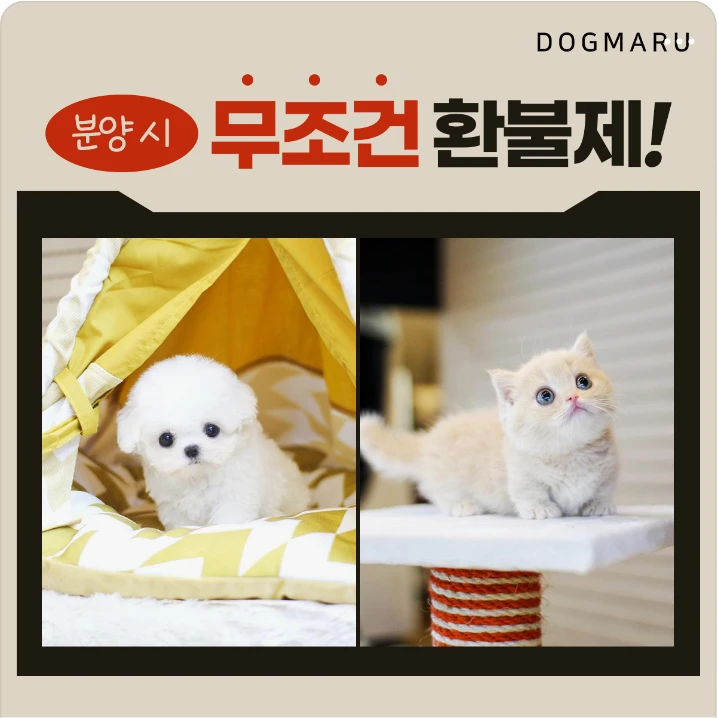 서비스/유통/레저 배너