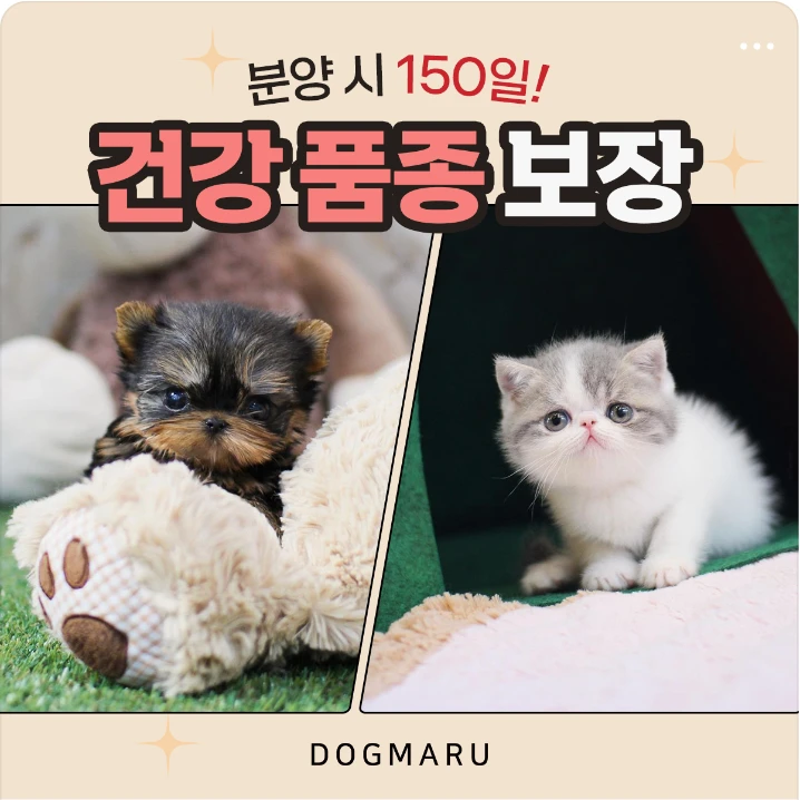 서비스/유통/레저 배너