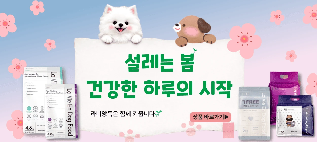 식품/제과 와이드형 배너