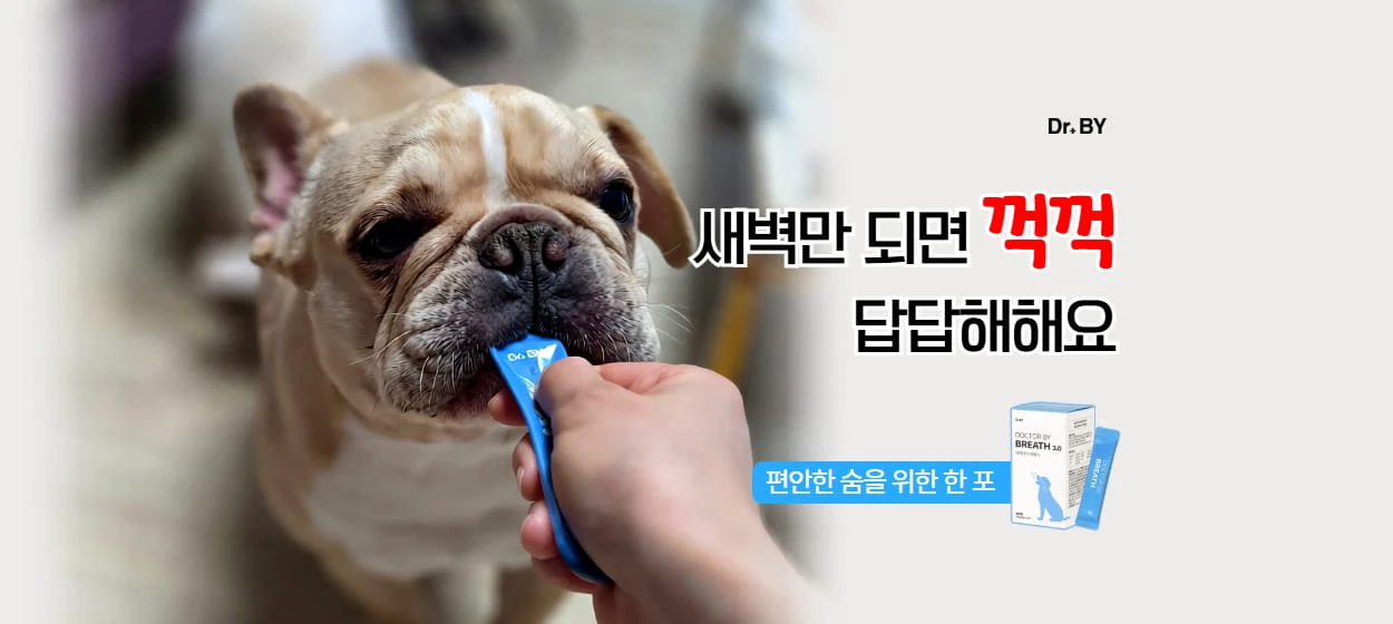 제약/의료/복지 와이드형 배너 광고 디자인 레퍼런스