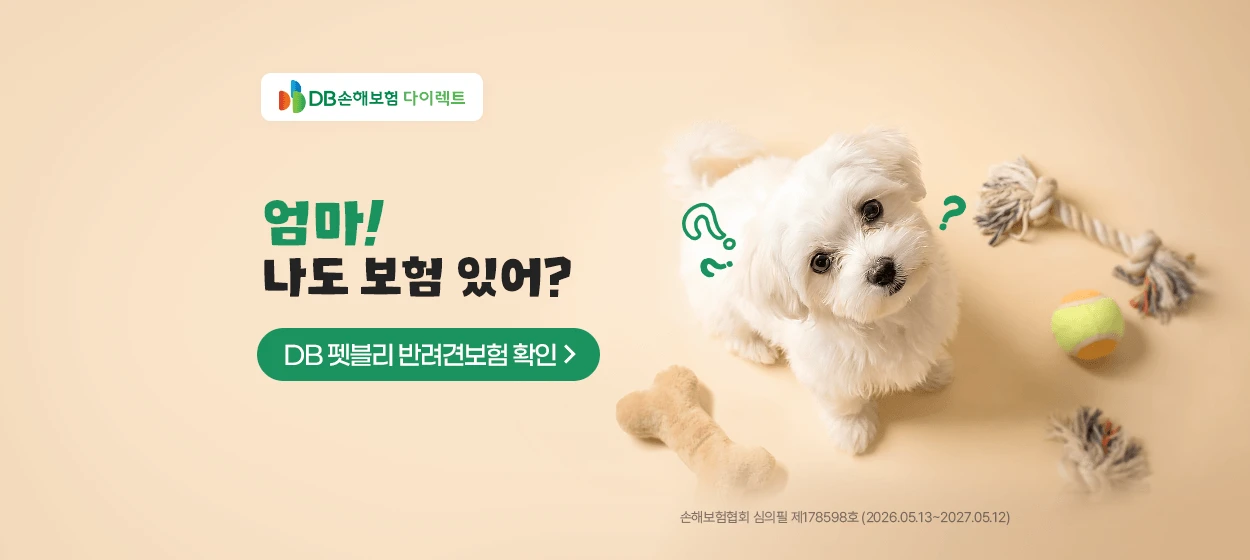 금융/보험 와이드형 배너 광고 디자인 레퍼런스
