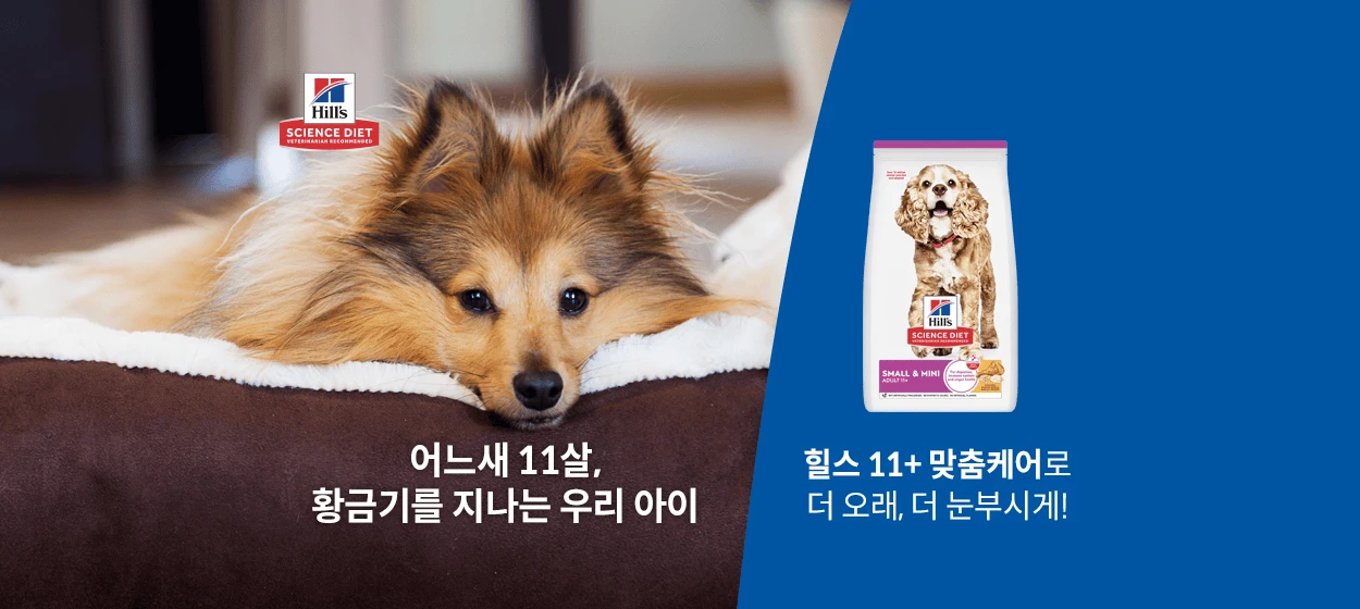 식품/제과 와이드형 배너