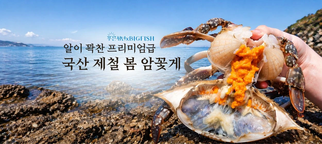 식품/제과 와이드형 배너