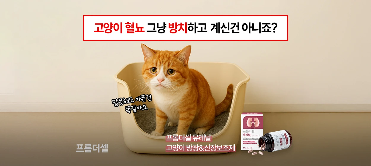 제약/의료/복지 와이드형 배너
