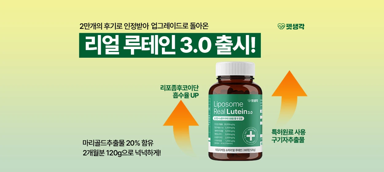 제약/의료/복지 와이드형 배너
