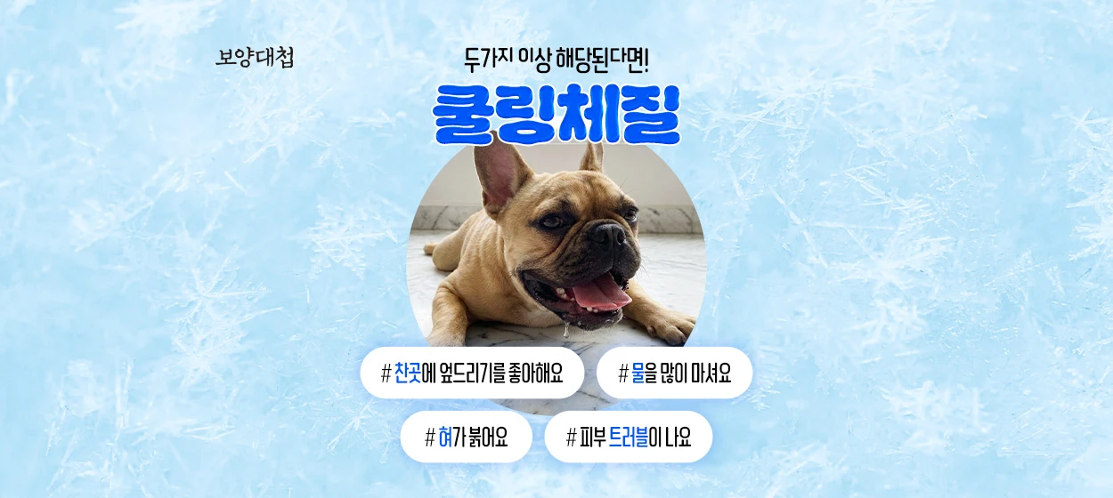 제약/의료/복지 와이드형 배너
