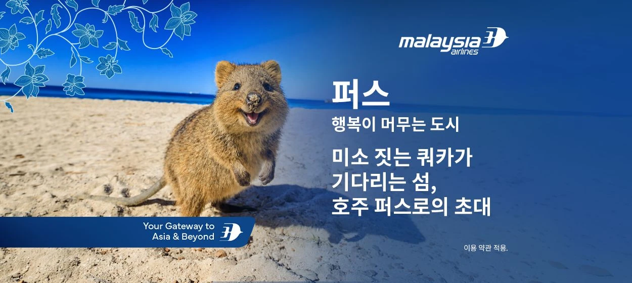 서비스/유통/레저 와이드형 배너 광고 디자인 레퍼런스