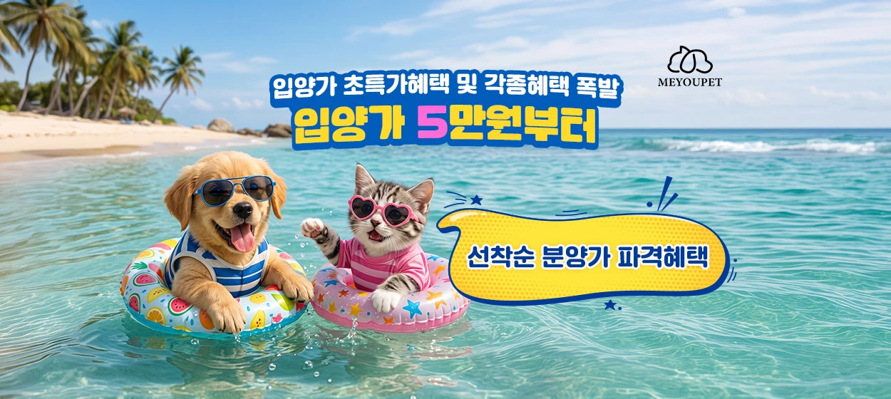 서비스/유통/레저 와이드형 배너 광고 디자인 레퍼런스