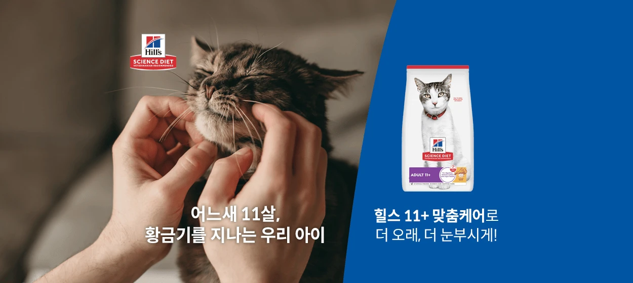 식품/제과 와이드형 배너 광고 디자인 레퍼런스
