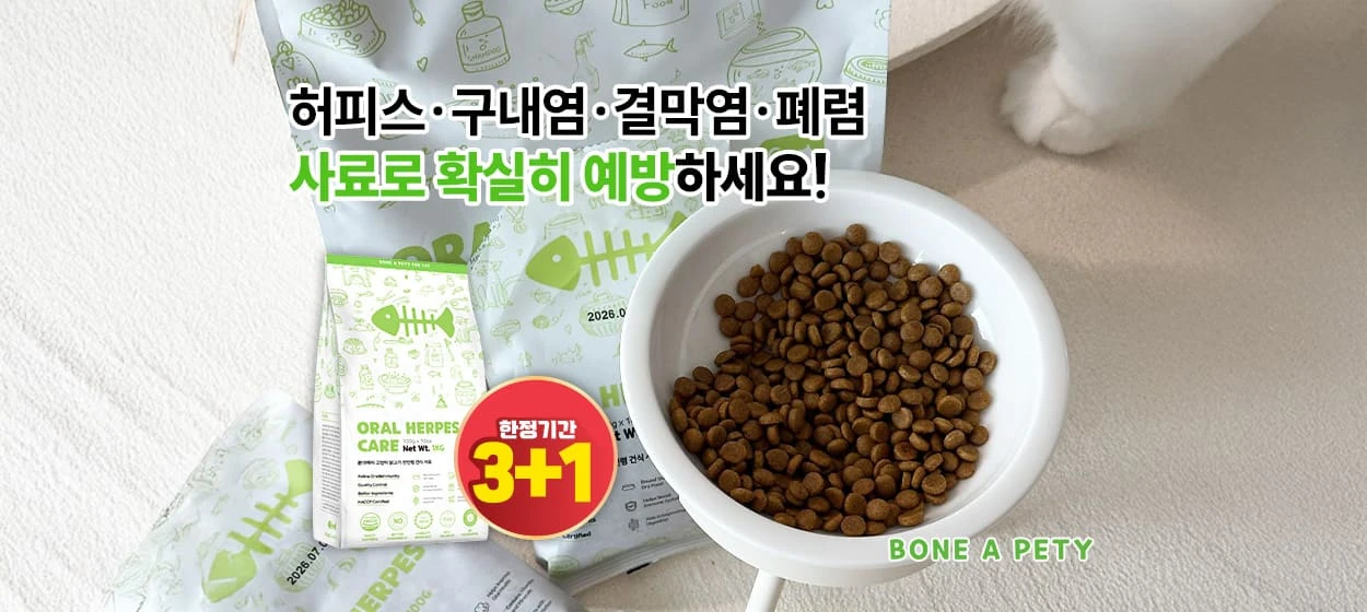 식품/제과 와이드형 배너