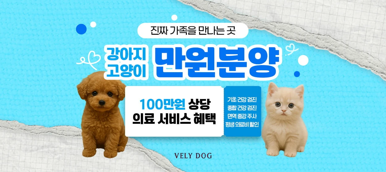 서비스/유통/레저 와이드형 배너