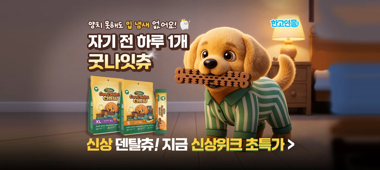 식품/제과 와이드형 배너