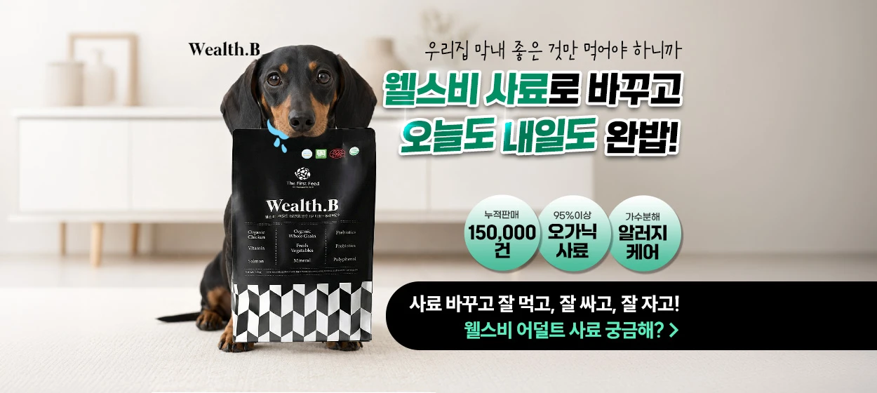 식품/제과 와이드형 배너