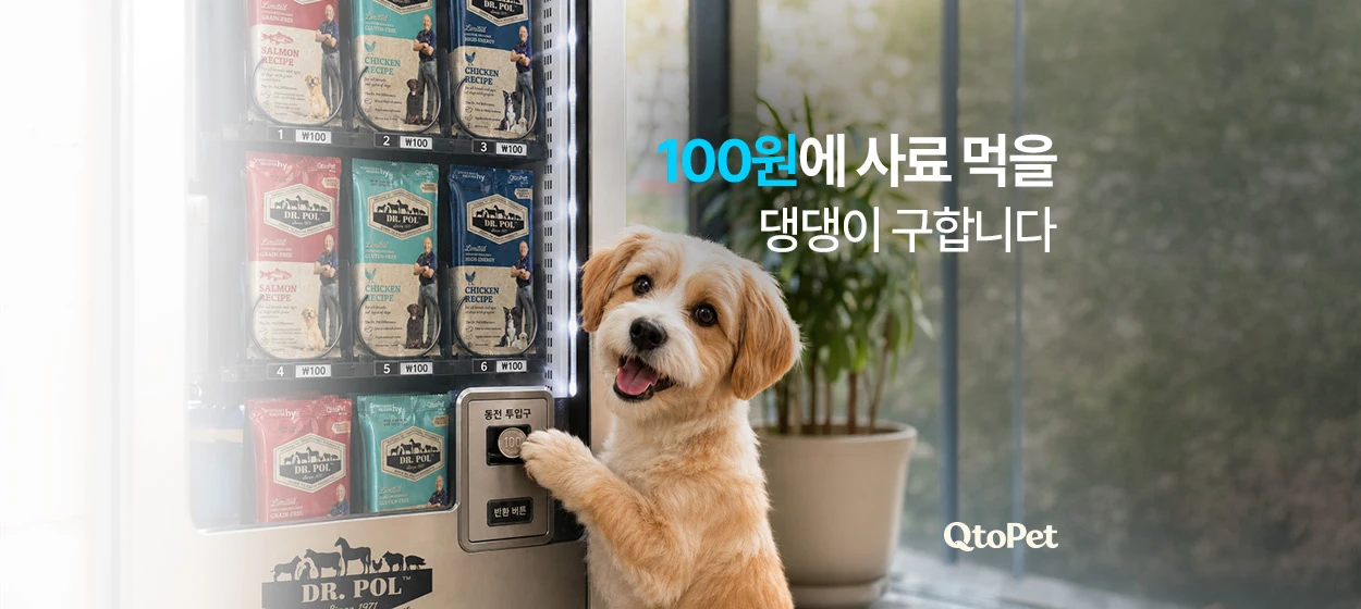 식품/제과 와이드형 배너