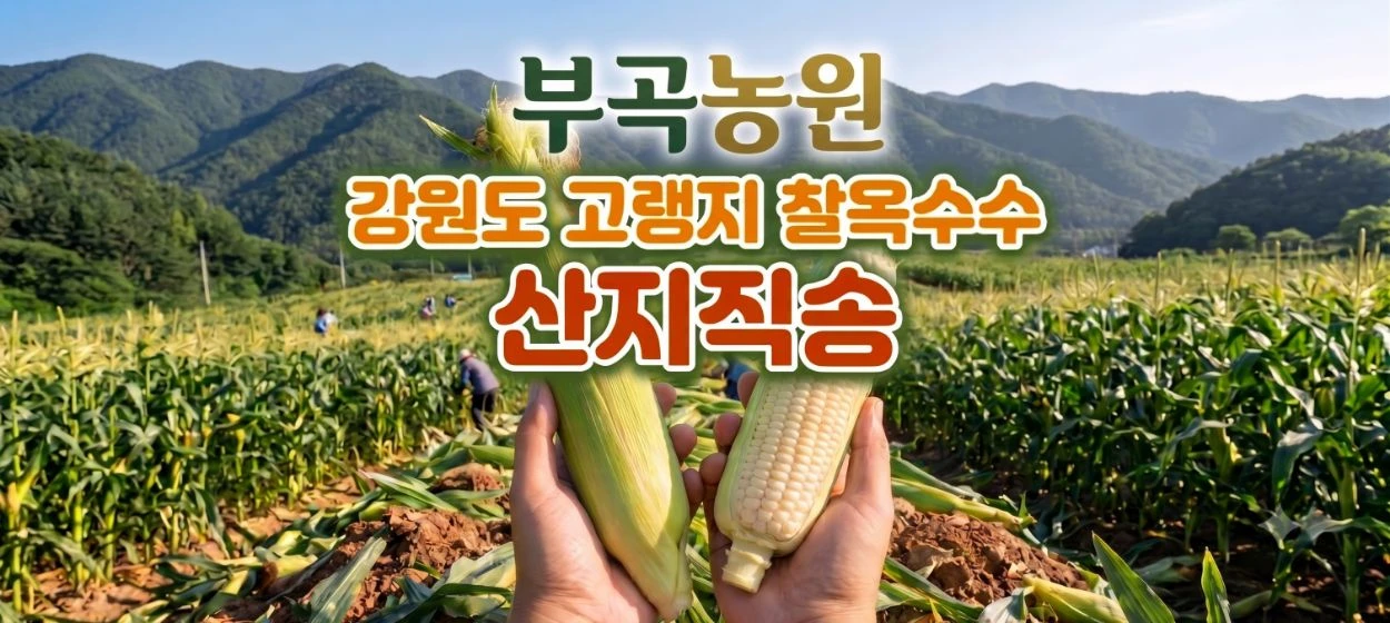 식품/제과 와이드형 배너