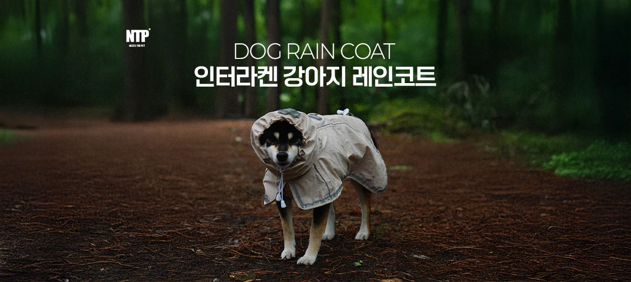 패션/스포츠 와이드형 배너