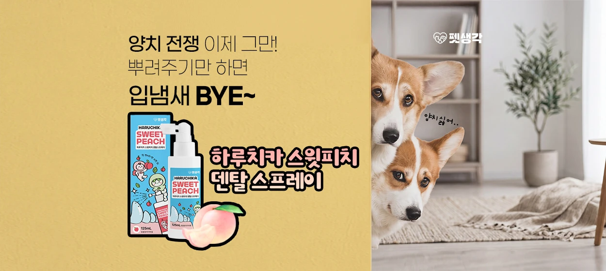 생활/가정용품 와이드형 배너