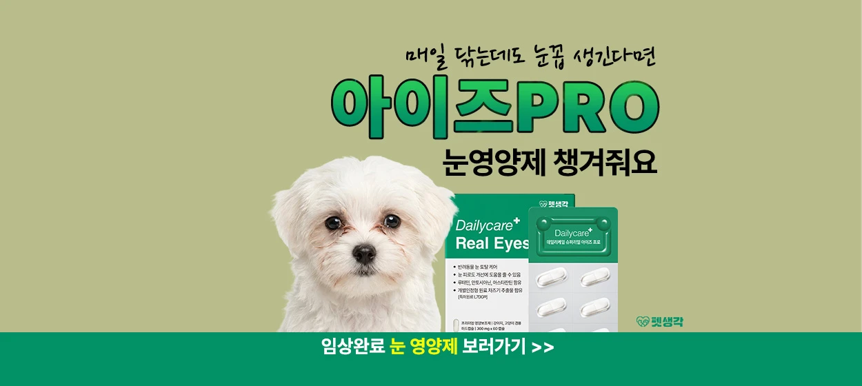 제약/의료/복지 와이드형 배너
