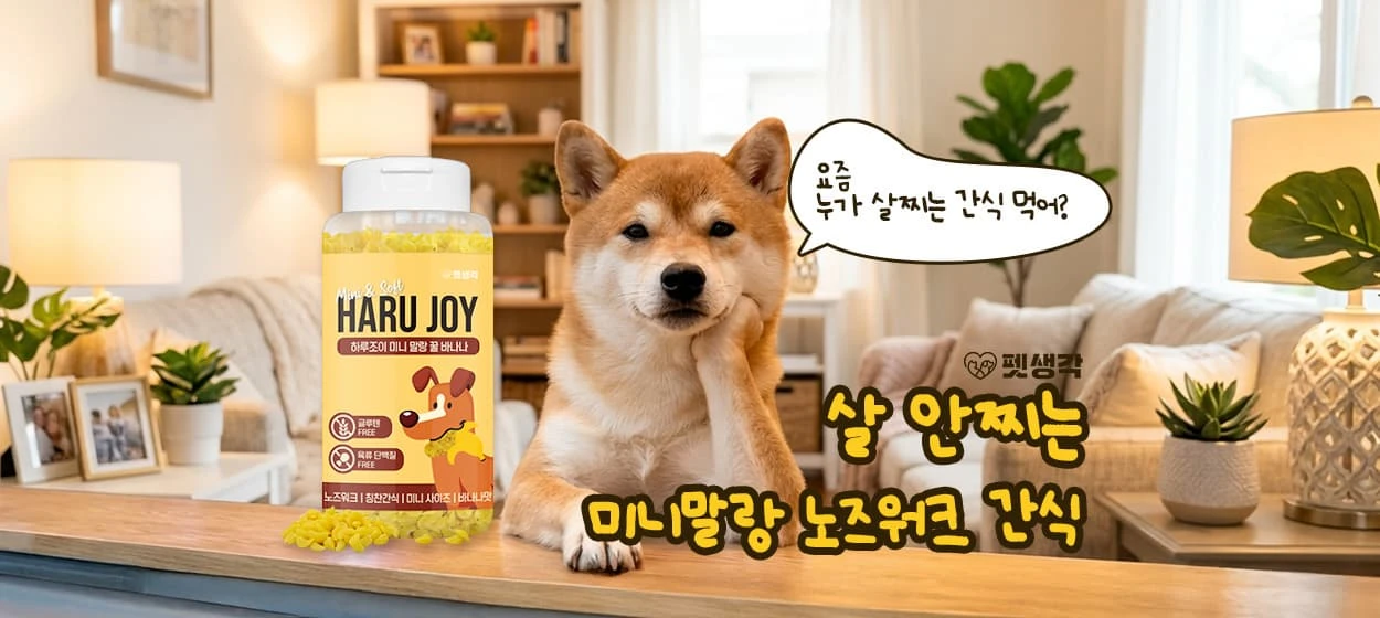 식품/제과 와이드형 배너