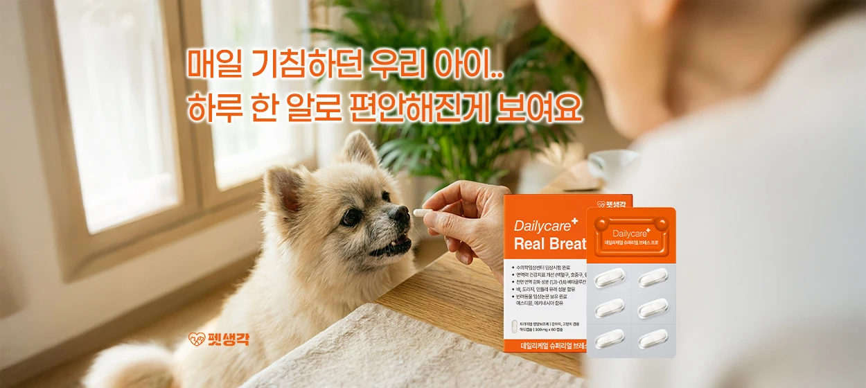 제약/의료/복지 와이드형 배너