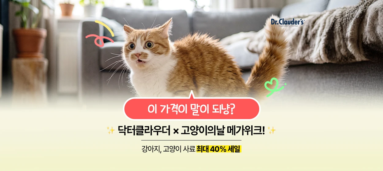 식품/제과 와이드형 배너