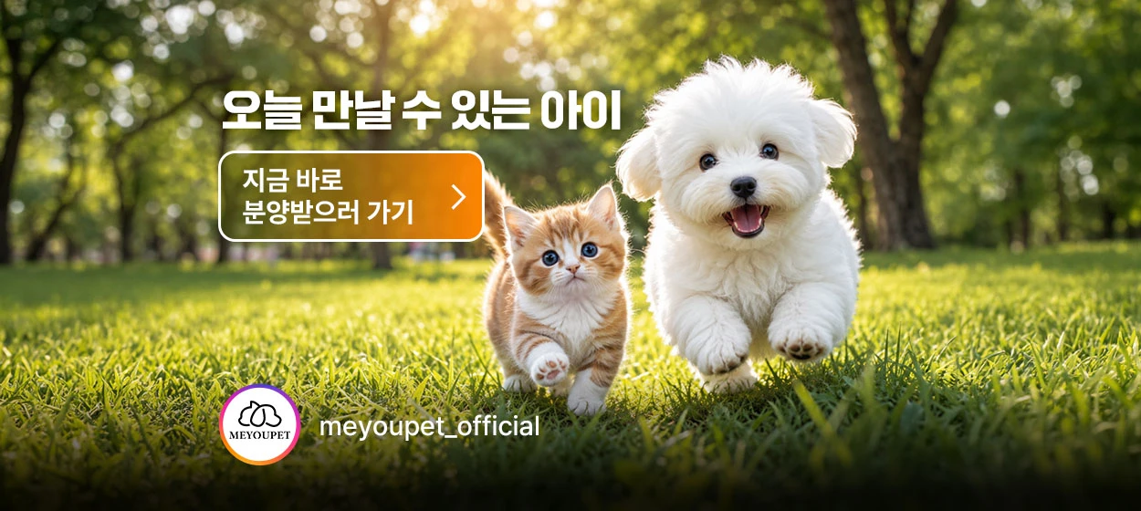 서비스/유통/레저 와이드형 배너