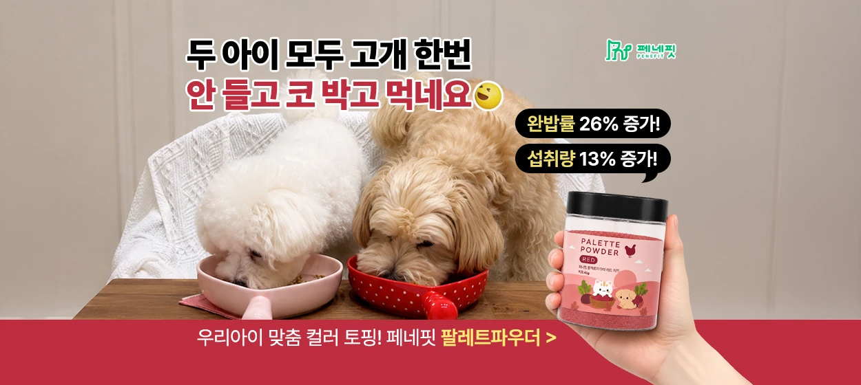 식품/제과 와이드형 배너