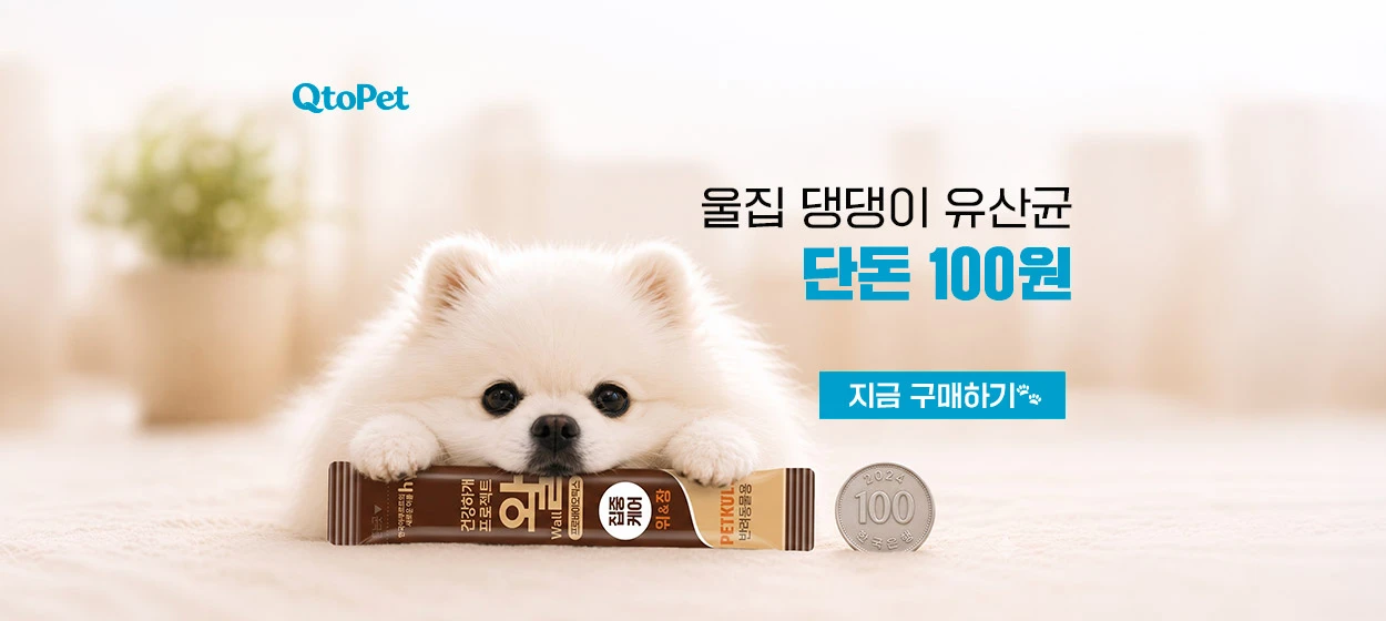 제약/의료/복지 와이드형 배너