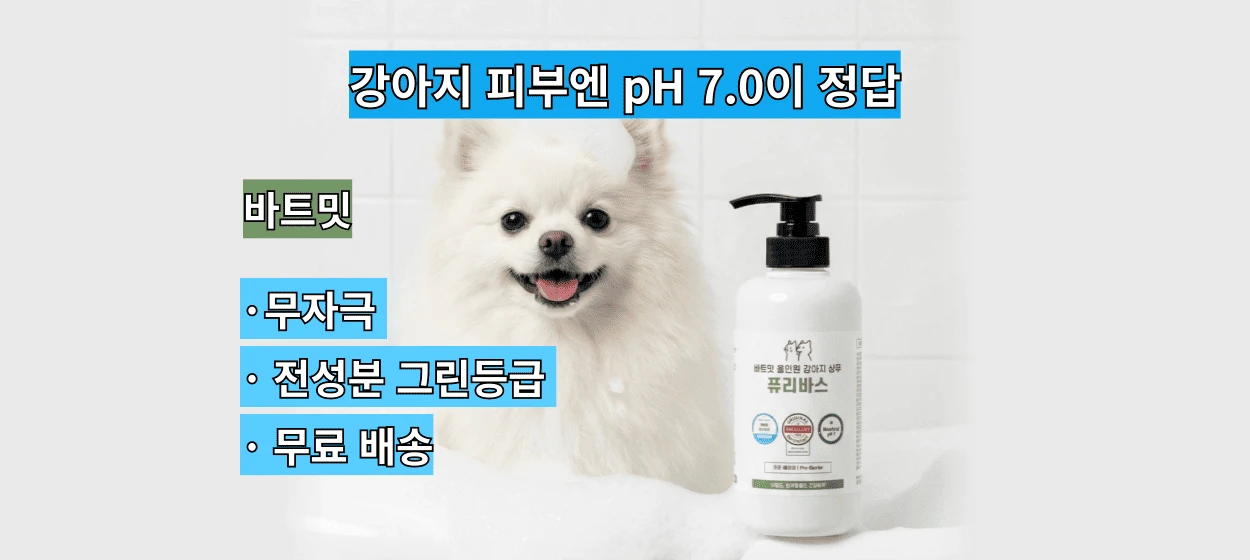생활/가정용품 와이드형 배너